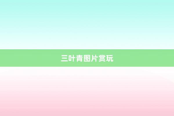 三叶青图片赏玩