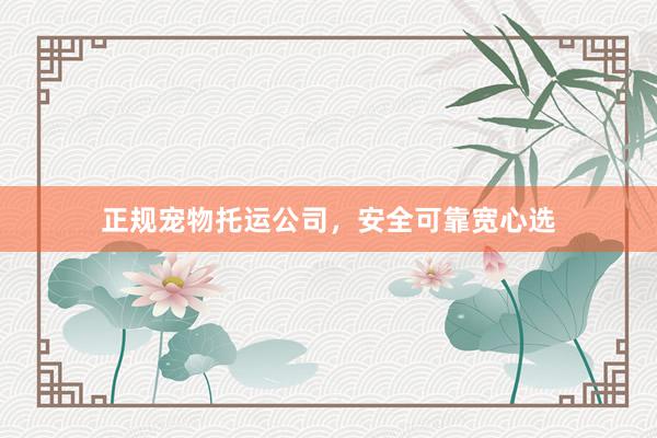 正规宠物托运公司,安全可靠宽心选
