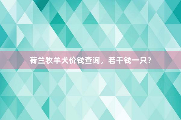荷兰牧羊犬价钱查询，若干钱一只？
